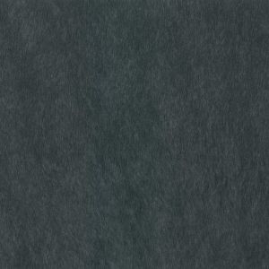 53803 TRUE BLUE (COMPASS)