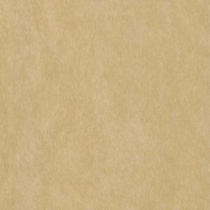 53820 OYSTER (COMPASS)