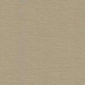 53821 PORCELAIN (ELLIOT)