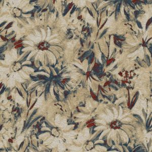 53842 AMERICANA (DAISY)