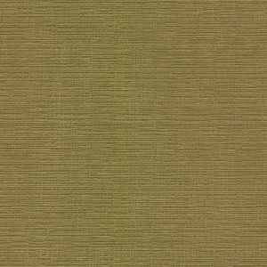 54009 APPLE (DUBLIN)