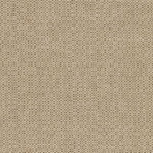 54024 KHAKI (STELLAR)