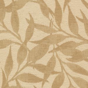 54029 KHAKI (LOUVELLE)