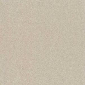 54207 PEARL (ARCADE)