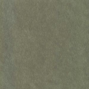 54214 CAPER (COMPASS)