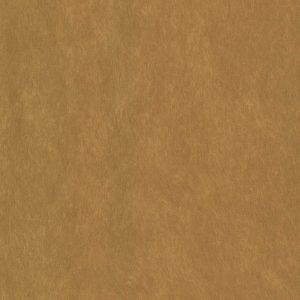 54219 MAPLE (COMPASS)