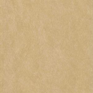 54222 OYSTER (COMPASS)