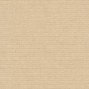 54310 CREAM (RANGER)