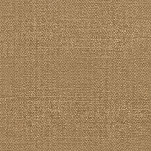 54315 FAWN (DELIGHT)