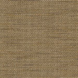 54324 RAFFIA (TEHAMA)