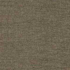 54327 CHARBROWN (BANDIT)