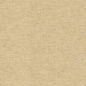 54337 CANVAS (ASTRO)