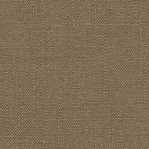 54343 FLINT (DELIGHT)