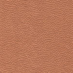 54407 CORAL (ABBOT)