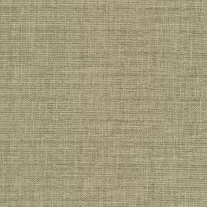 54427 SPRING (ELOISE)