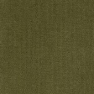 54429 APPLE (BROOKLYN)