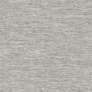 54513 BERBER (CORSAIR)