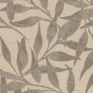 54542 DOVE (LOUVELLE)