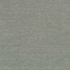 54629 ROBIN'S EGG (MACY)