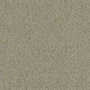 54821 CHROME (NIMBLE)