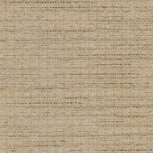 54824 RAFFIA (VENTURE)