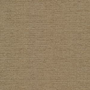 54922 SABLE (RANGER)