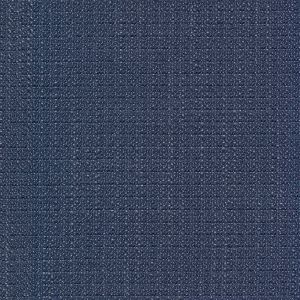 54933 BLUEBERRY (DERBY)