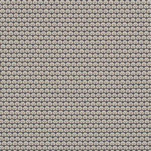 D3294 Midnight Petite