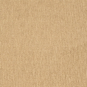 D4464 Latte