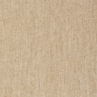 F3330 Sand Dollar