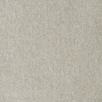 F3349 Lichen
