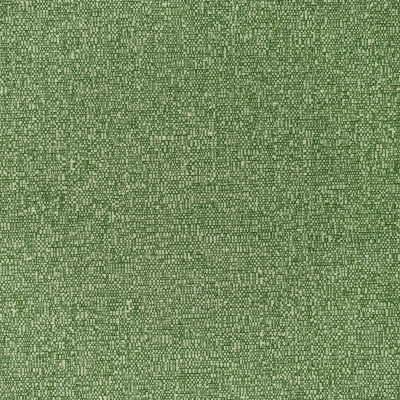 F3404 Grass