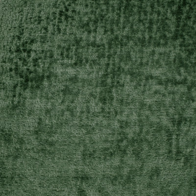 F3406 Forest