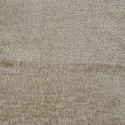 F3653 Fawn