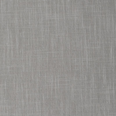F3677 Abalone