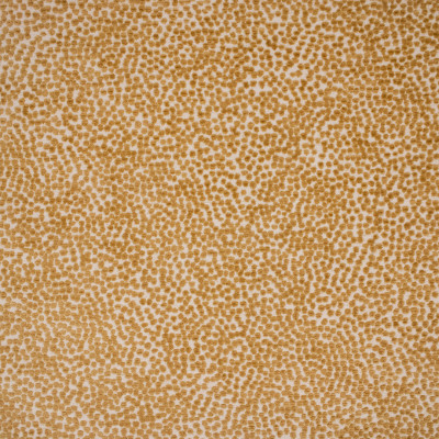 F4820 Gold