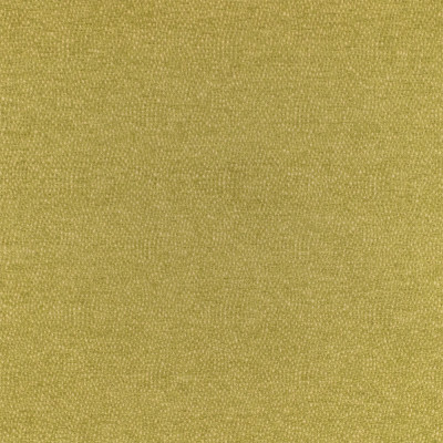 F4827 Celery