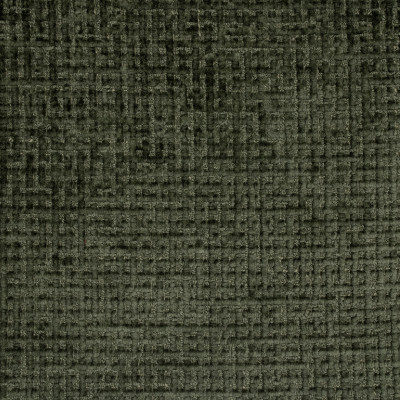 F4831 Forest
