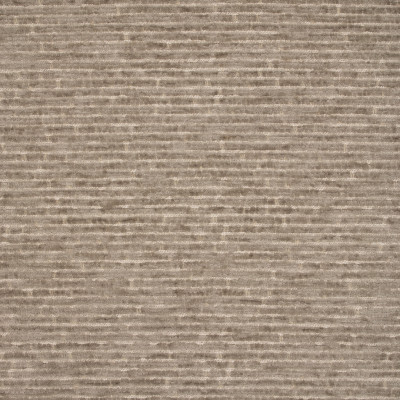 F4872 Fossil