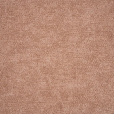 F4907 Rose