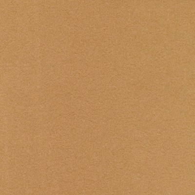 F5783 Nutmeg