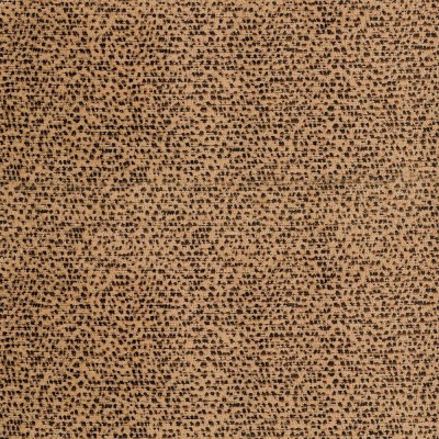 F5785 Cheetah