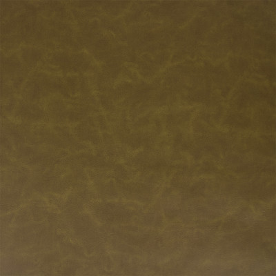 F5981 Grass