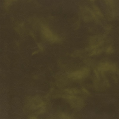 F5993 Forest