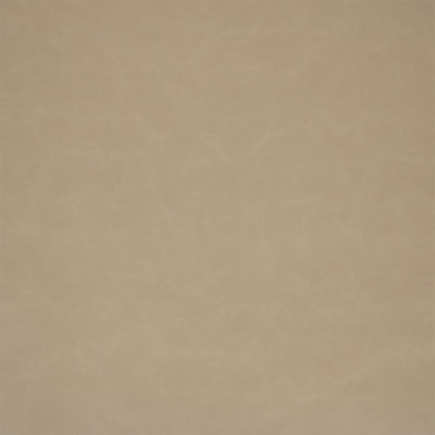 F6001 Gray