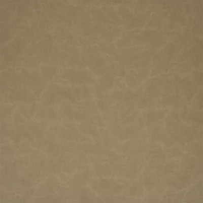 F6002 Stone
