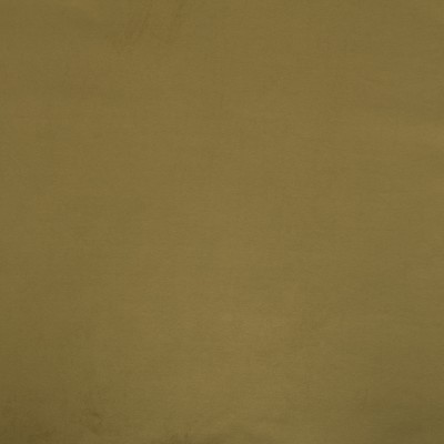 F6041 Lizard