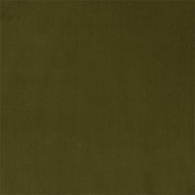 F6136 Olive