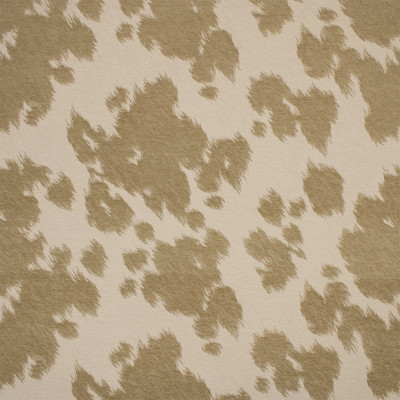 F6198 Sisal