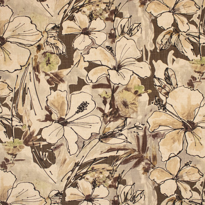 F6209 Chocolate